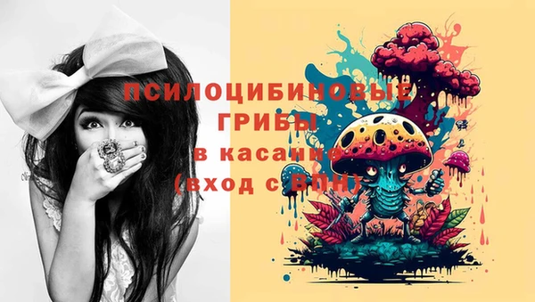 spice Балахна